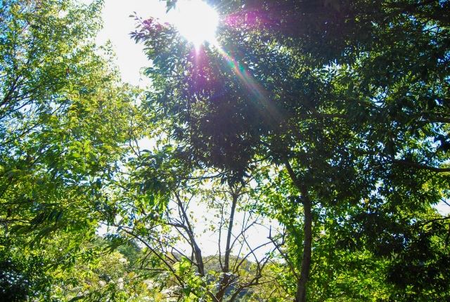 設置する土地の自由度が高い